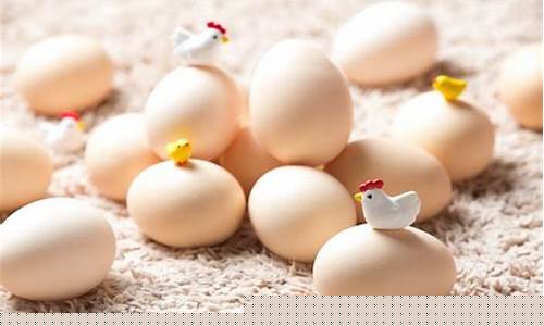 鸡蛋期货交易中的咨询大师(鸡蛋期货交易平台)_https://www.ptguandao.com_广期所_第1张
