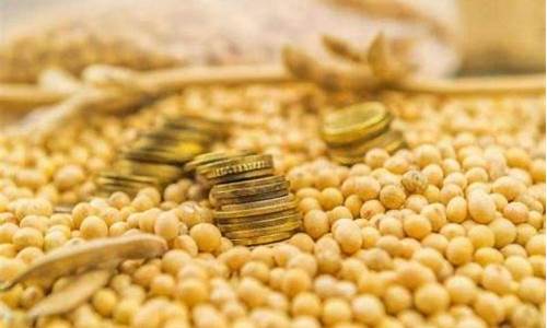 扬州大豆期货交易条件(大豆期货的交易时间)_https://www.ptguandao.com_中金所_第1张