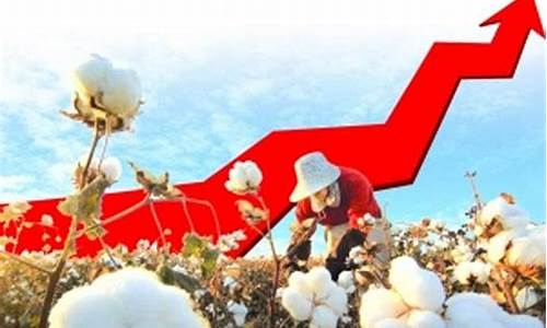 棉花期货交易开盘时间(美棉花期货交易时间)_https://www.ptguandao.com_中金所_第1张