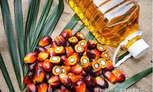 棕榈油期货在哪看价格行情(棕榈油国际期货价格)_https://www.ptguandao.com_中金所_第1张