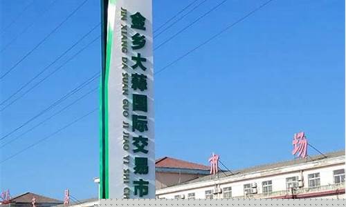 金乡国际大蒜类期货交易所(金乡大蒜国际交易市场行情)_https://www.ptguandao.com_上期能源_第1张