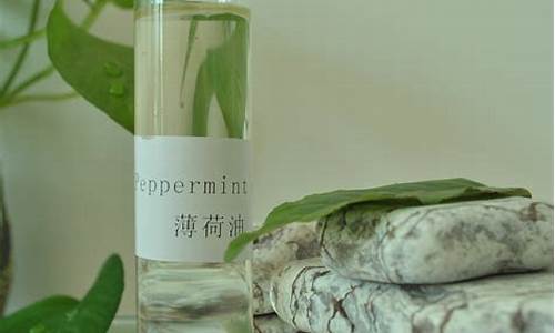 薄荷油期货交易在哪个市场_https://www.ptguandao.com_郑商所_第1张
