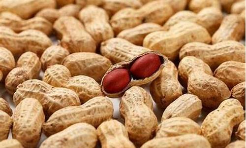 花生期货交易入门知识(股指期货交易入门知识)_https://www.ptguandao.com_上期所_第1张