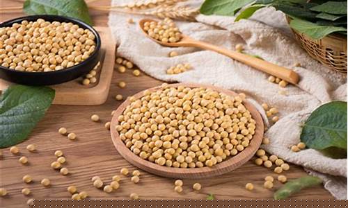 大豆期货交易技巧(大豆期货基础知识)_https://www.ptguandao.com_郑商所_第1张