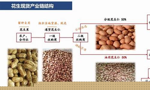 宁海花生期货交易规则(花生期货交易细则)_https://www.ptguandao.com_上期所_第1张