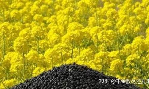 苏州菜粕期货交易规则(菜粕期货行情讨论)_https://www.ptguandao.com_广期所_第1张