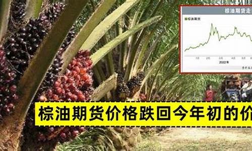 棕油期货价格行情价格(棕榈油期货今日走势)_https://www.ptguandao.com_中金所_第1张
