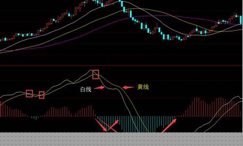 期货交易通道ctp(期货交易通道哪个速度最快)_https://www.ptguandao.com_上期所_第1张