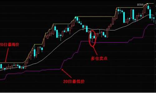 期货交易海龟法则解读(期货交易海龟法则解读pdf)_https://www.ptguandao.com_中金所_第1张
