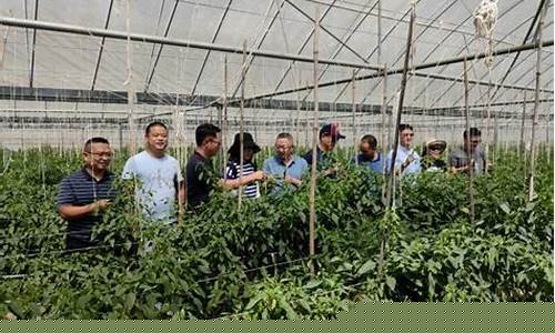 上海蔬菜与期货交易中心(上海蔬菜网)_https://www.ptguandao.com_中金所_第1张