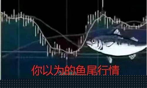 期货鱼尾行情(鱼尾行情怎么看)_https://www.ptguandao.com_上期所_第1张