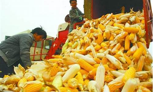3月8日玉米期货行情价格(3月8日玉米期货行情价格走势)_https://www.ptguandao.com_中金所_第1张