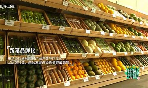 寿光蔬菜期货交易系统网站(寿光蔬菜线上交易平台)_https://www.ptguandao.com_广期所_第1张