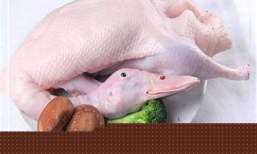 白条鸭期货行情怎么样知乎(白条鸭价格行情分析)_https://www.ptguandao.com_上期能源_第1张