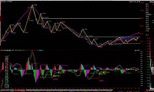 棉花pta期货交易(期货pta和棉花的价格关系)_https://www.ptguandao.com_广期所_第1张