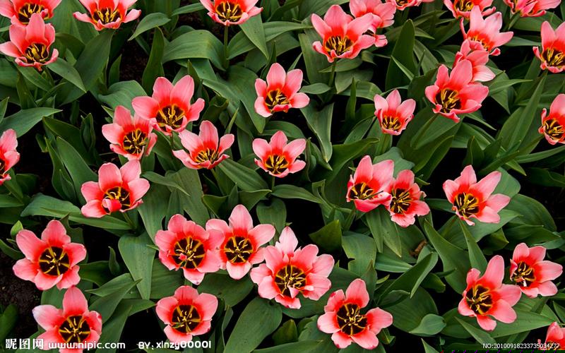 期货交易账户怎样计息收益(期货账户利息)_广期所_第1张_财经网 期货交易账户怎样计息收益(期货账户利息)_https://www.ptguandao.com_广期所_第1张