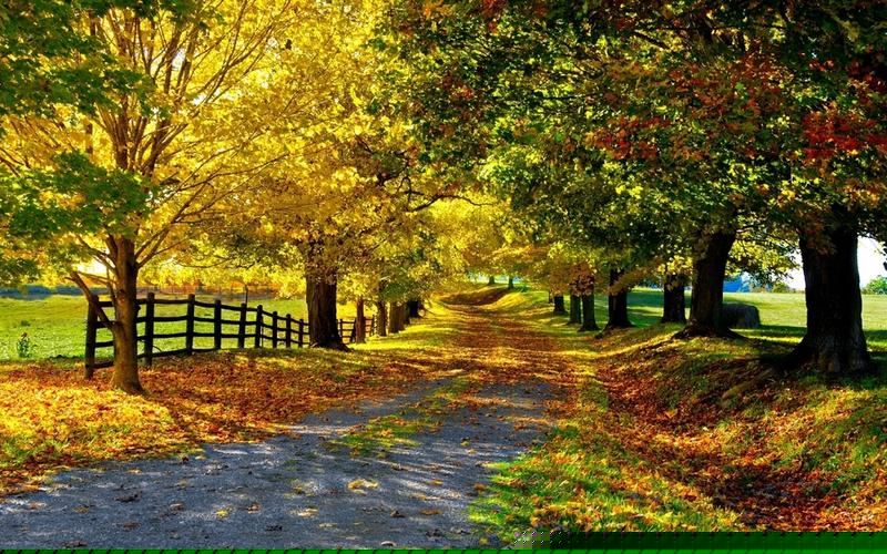 期货交易中介服务公司(期货交易公司哪个最可靠)_大商所_第1张_财经网 期货交易中介服务公司(期货交易公司哪个最可靠)_https://www.ptguandao.com_大商所_第1张