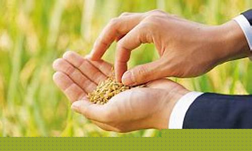 稻谷期货交易什么提货(稻谷期货怎么买)_广期所_第1张_财经网 稻谷期货交易什么提货(稻谷期货怎么买)_https://www.ptguandao.com_广期所_第1张