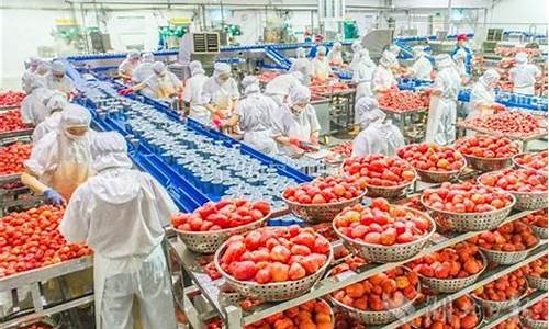 怎么做山东果蔬期货交易_上期所_第1张_财经网 怎么做山东果蔬期货交易_https://www.ptguandao.com_上期所_第1张