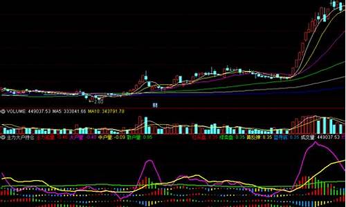 主力大户中户散户资金指标(股票里大户中户散户各是什么标准)_https://www.ptguandao.com_中金所_第1张