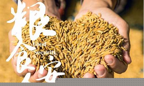 2023粮食行情(21年粮食)_https://www.ptguandao.com_上期能源_第1张